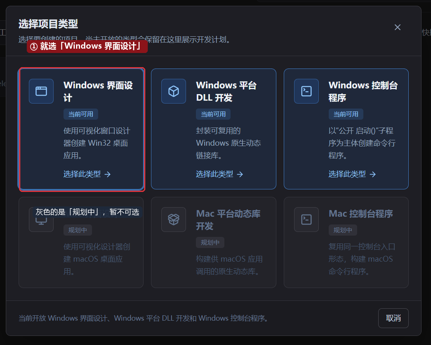选择项目类型
