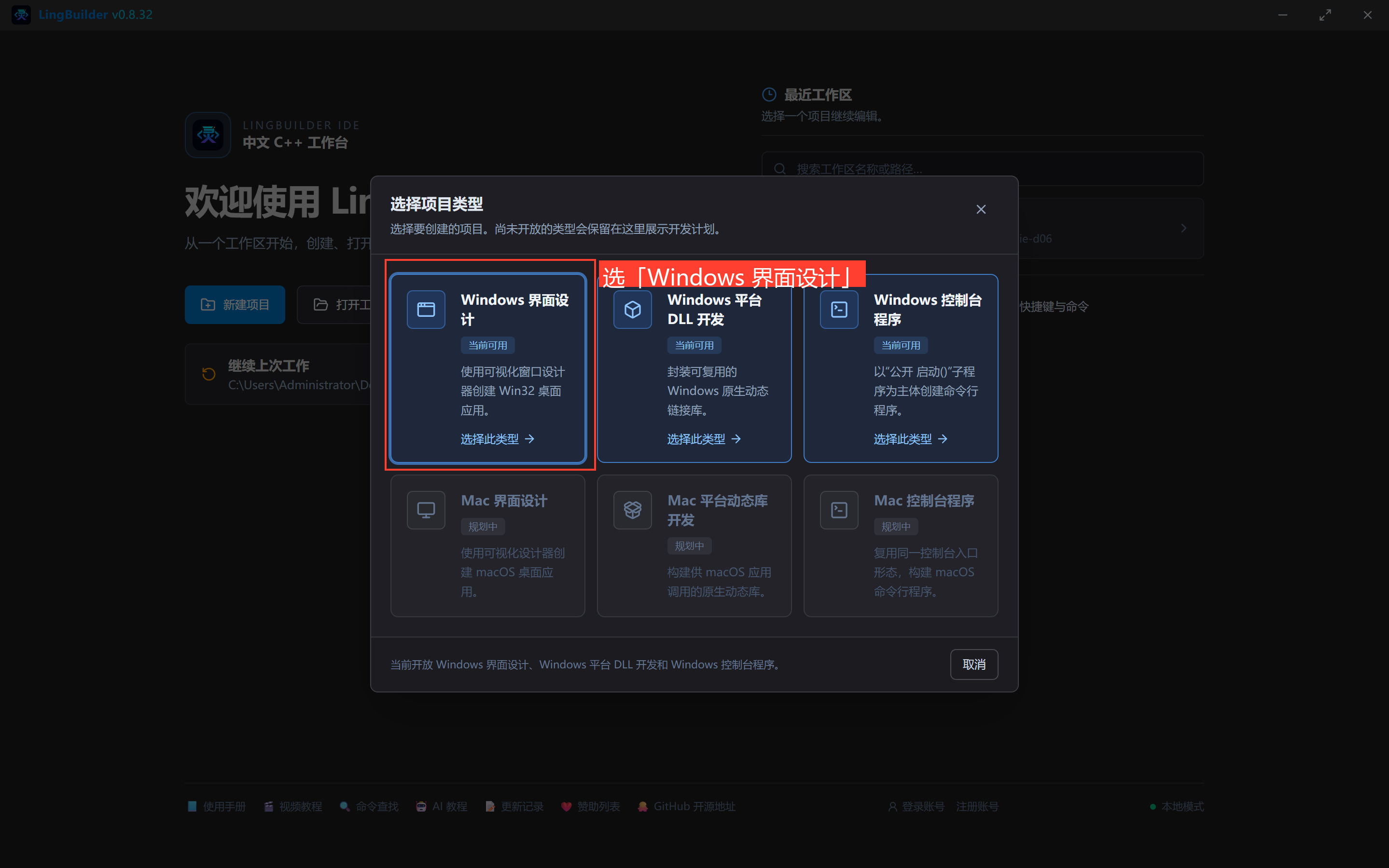 选择项目类型
